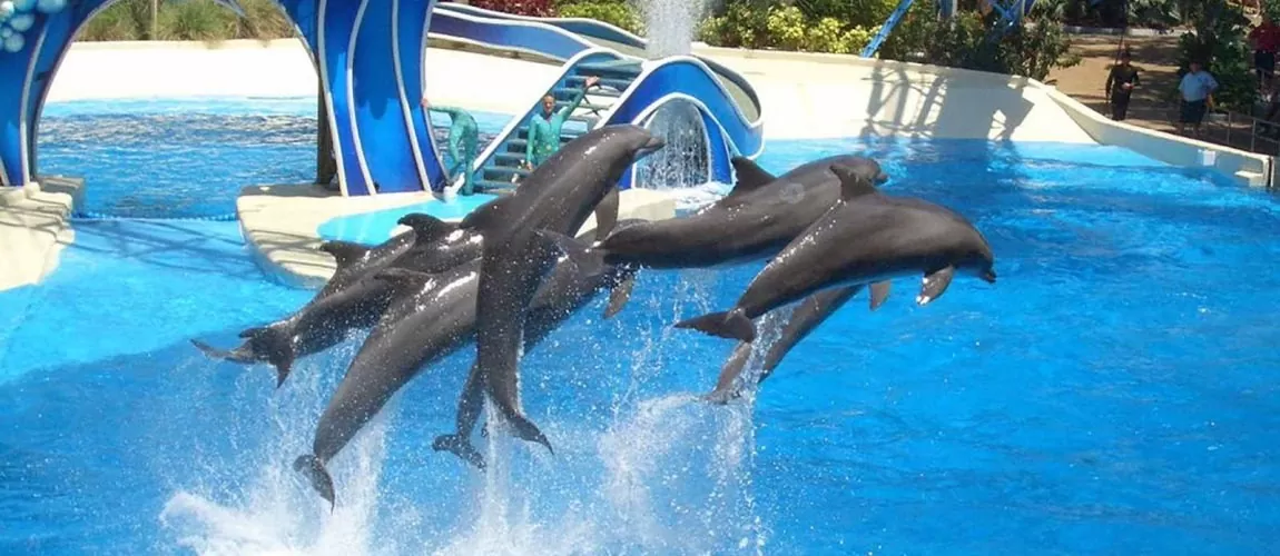 Dolphin Aqua Land Eski Masal Hotel Antalya Kaleici